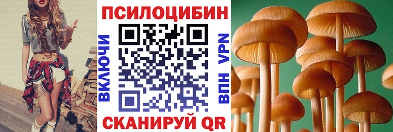 Купить закладки  Красноуфимск  Галлюциногенные грибы прущие грибы 